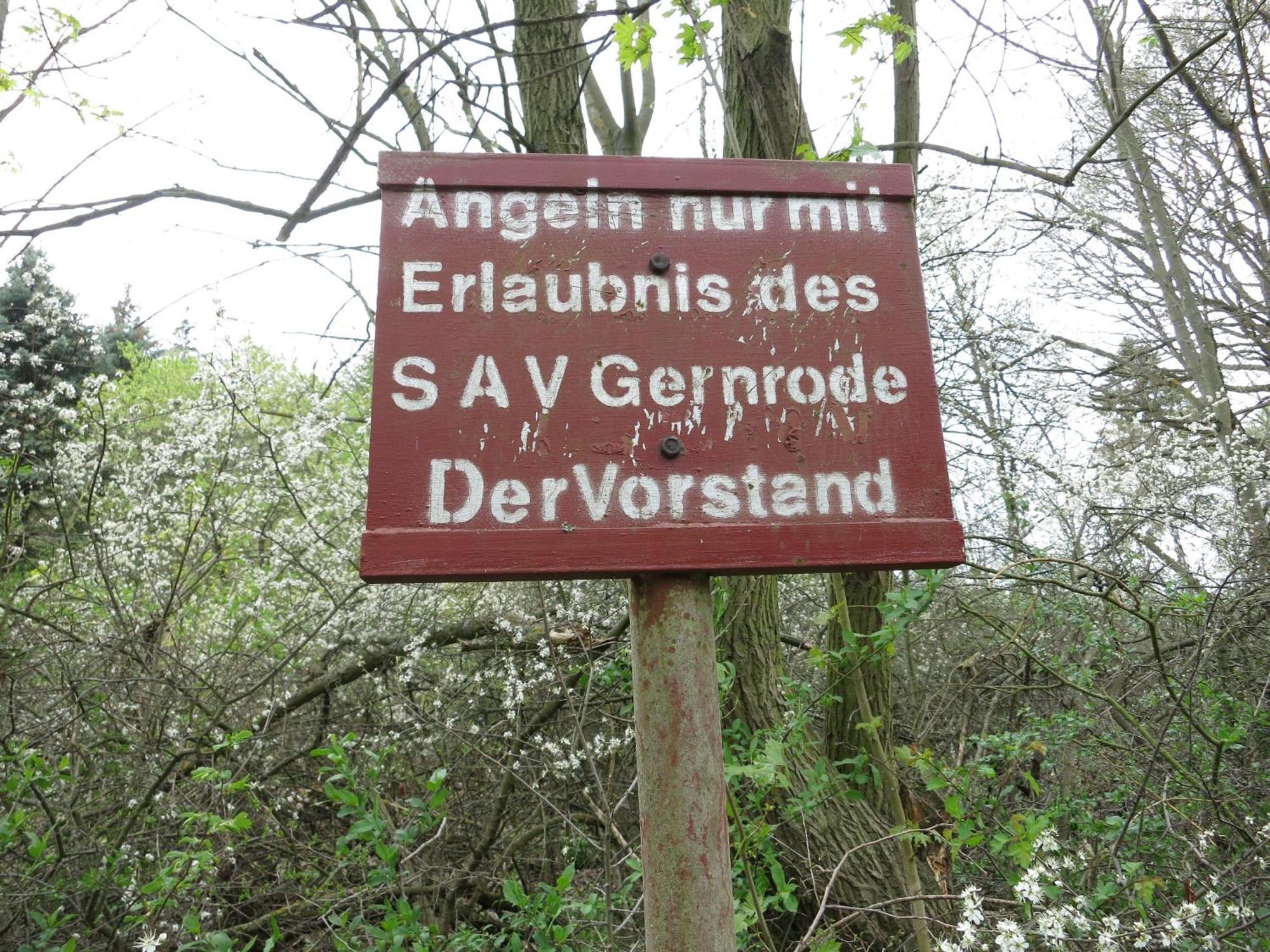 Bungalow Am Osterteich Gernrode  외부 사진